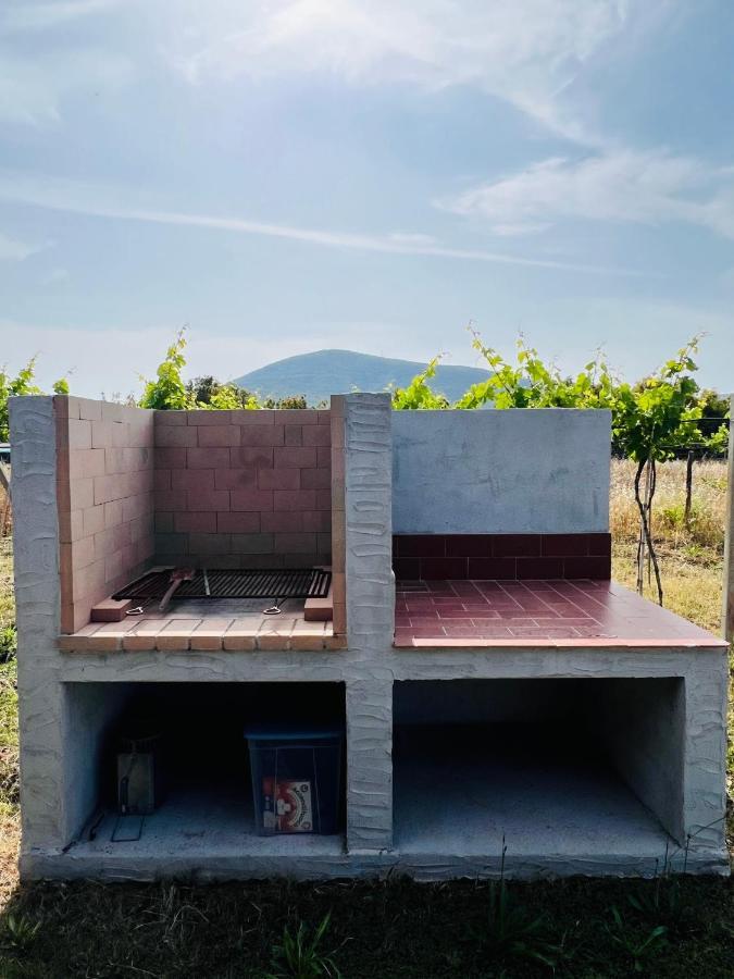 Agriturismo Graziano E Barbara Porto Conte Dış mekan fotoğraf